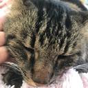 Avatar de gød_mūzåñ