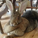 Avatar de marztan_officiel