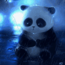 Avatar de panda27.