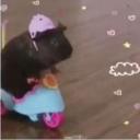 Avatar de ______00_0