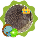 Avatar de little.king.kiwi