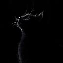 Avatar de strayblood