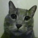 Avatar de +385>*Yank0