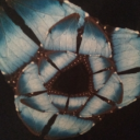 Avatar de misterx234