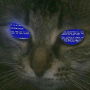 Avatar de ̵̔͂̀͝polo