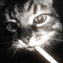 Avatar de flofloytbzz