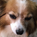 Avatar de seigneuryugoo