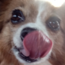 Avatar de seigneuryugoo