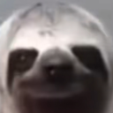 Avatar de calmdown3223