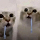 Avatar de 𝙗𝙚𝙨𝙞𝙗𝙙狐〆