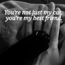 Avatar de karasudragonique