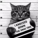 Avatar de i.love.foot