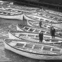 Avatar de lucaslr1912