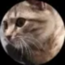 Avatar de barracuda_.1244