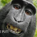 Avatar de leobatman_10