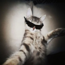 Avatar de callystagrl_