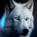 Avatar de kaynoxdev