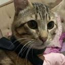 Avatar de [SCRIPTEUR-GRAPHISTE] HAMOUD