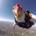 Avatar de antoinelrn