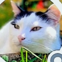 Avatar de natal.s0ul