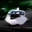 Avatar de TITOO 🙈🙉🙊