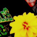 Avatar de c_acahouete