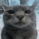 Avatar de camou12_3
