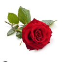 Avatar de isabelle.369963