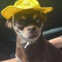 Avatar de Nohar 🤳🦶