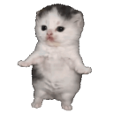 Avatar de 𝑨𝒍𝒄𝒂𝒕𝒓𝒂𝒛 𝑻𝒗𝒗