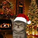 Avatar de 𝕬𝕯𝕬𝕸𝕰  ♥