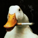 Avatar de kamoss_gaming