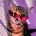 Avatar de 𝑇 4 𝑋 𝐼 𝑄 𝑈 𝐸