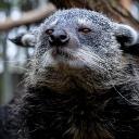 Avatar de nouveauromix