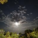 Avatar de oblix_8383_08580