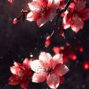 Avatar de 🌕🌹Lunoserpa🌹🌕