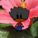 Avatar de sarvolboss_vrai