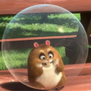 Avatar de LeHamster