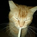 Avatar de shadown.ssh