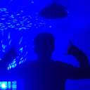 Avatar de foxidown