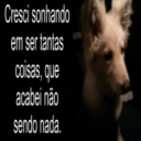 Avatar de mackrieger.7