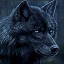 Avatar de leloup_130