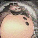 Avatar de rorrrr_43622