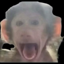Avatar de BigM