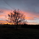 Avatar de fabienne0249