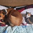 Avatar de gaelle0284