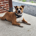 Avatar de gaelle0284