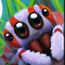 Avatar de stalurix
