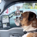 Avatar de tablebasseee