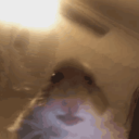 Avatar de flyox_17220